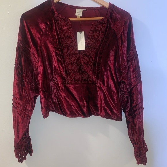 ANTHROPOLOGIE Stassi velvet eyelet top - Picture 4 of 10
